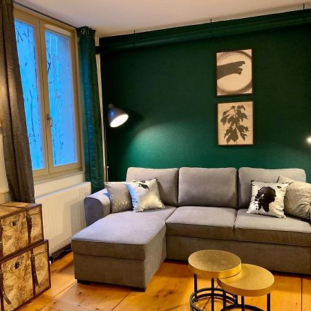 קולמר Appartements Des 2 Tetes מראה חיצוני תמונה