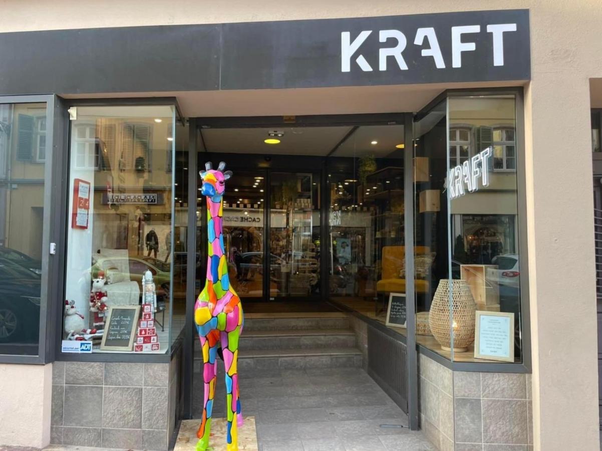 קולמר Appartements Des 2 Tetes מראה חיצוני תמונה