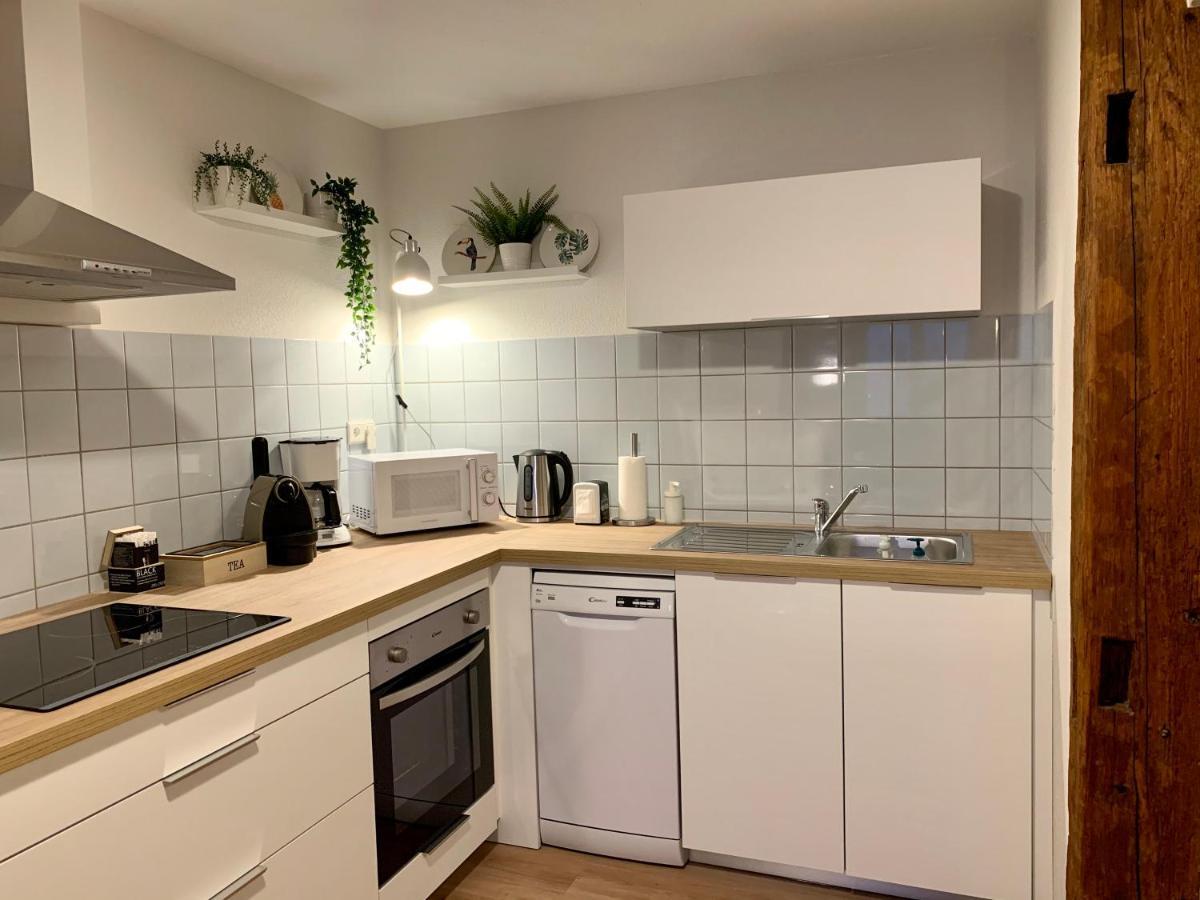 קולמר Appartements Des 2 Tetes מראה חיצוני תמונה