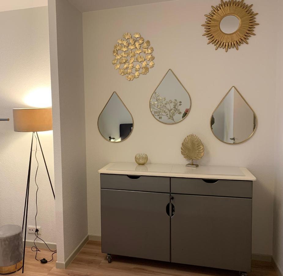 קולמר Appartements Des 2 Tetes מראה חיצוני תמונה