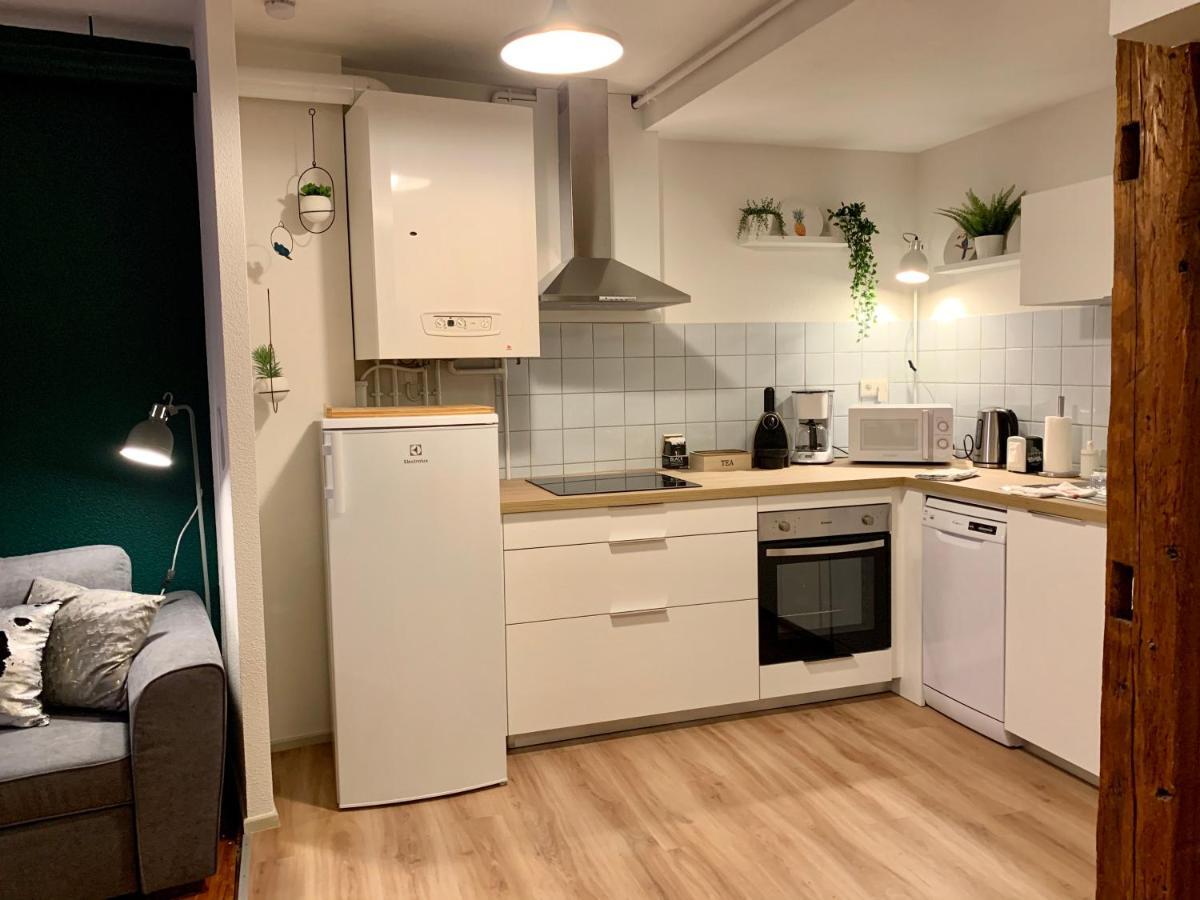 קולמר Appartements Des 2 Tetes מראה חיצוני תמונה