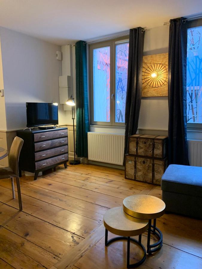 קולמר Appartements Des 2 Tetes מראה חיצוני תמונה